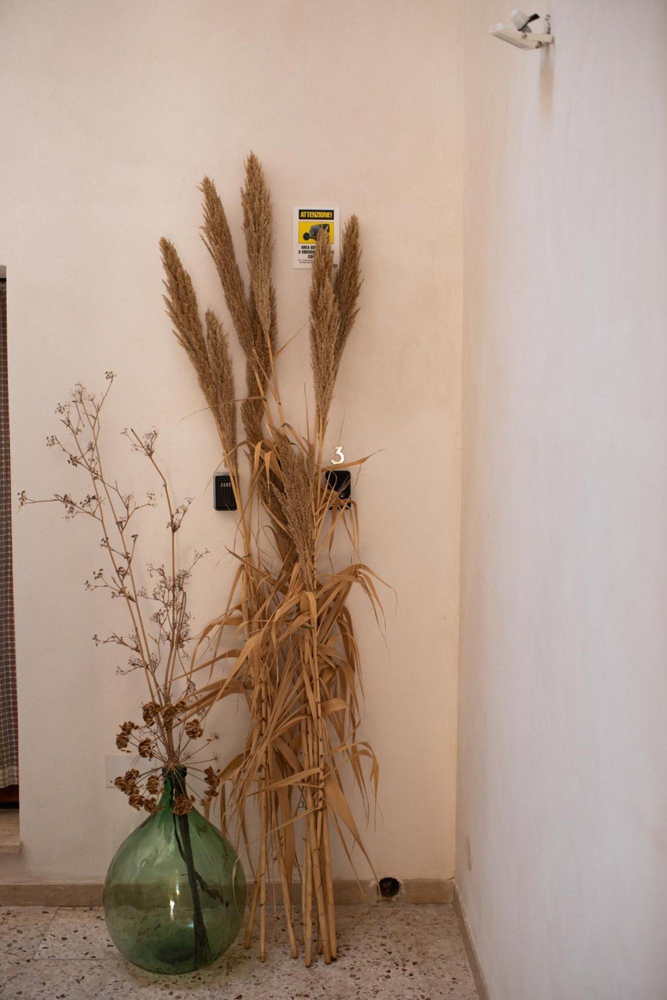San Vito Accommodations San Vito Lo Capo Ngoại thất bức ảnh